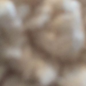 Meet your Posher, Bri